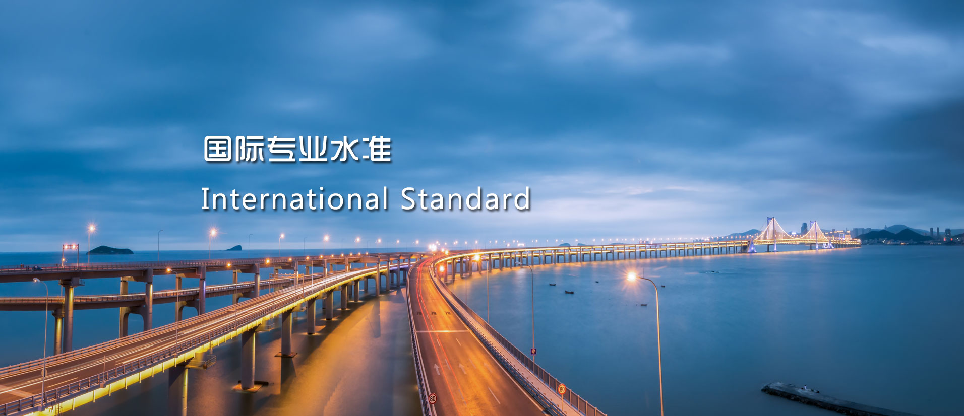 International Standard