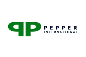 papper international logo